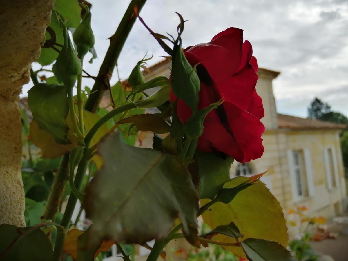 Domaine Du Chauvet Hotel Sainte-Eulalie  Bagian luar foto